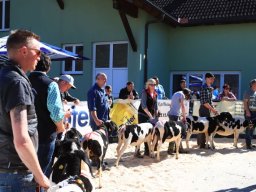 2019_ausstellung polling_575